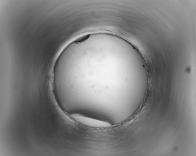 X0000102361524200808151802