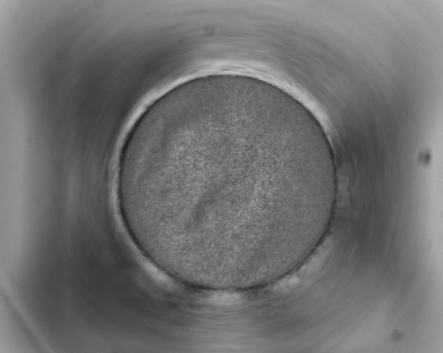 X0000102361525200808151802