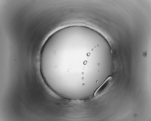 X0000102361526200808151802