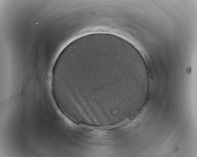 X0000102361527200808151802