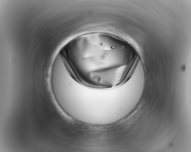 X0000102361528200808151802