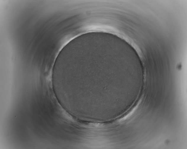 X0000102361529200808151802