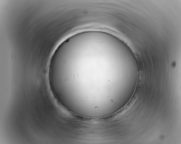 X0000102361530200808151802