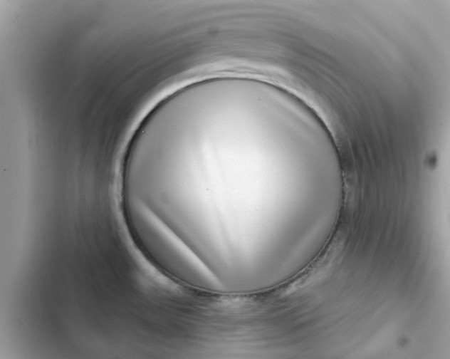 X0000102361531200808151802