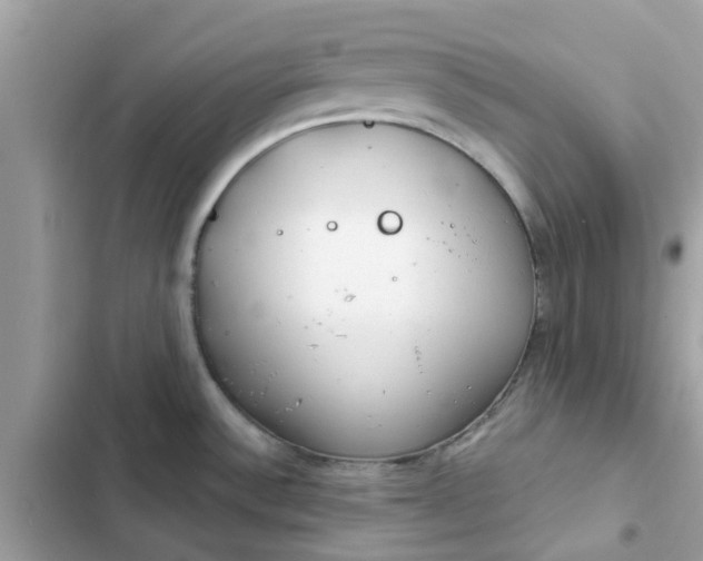 X0000102361532200808151802