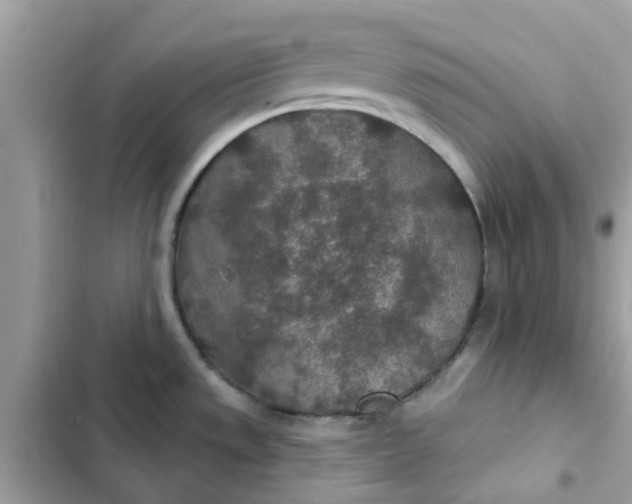 X0000102361533200808151802