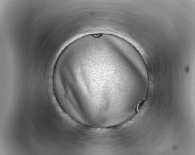 X0000102361534200808151802