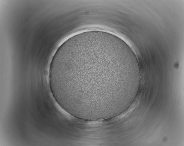 X0000102361535200808151802