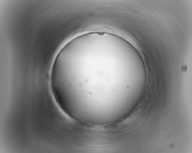 X0000102361536200808151802