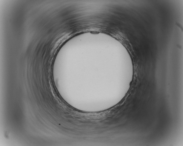 X0000102360001200808221726