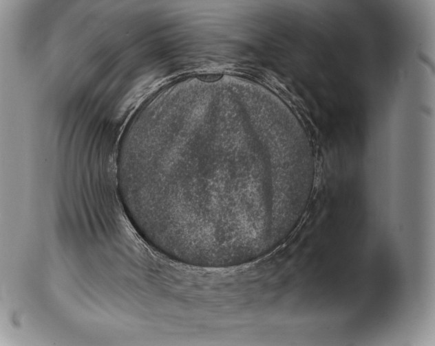 X0000102360002200808221726