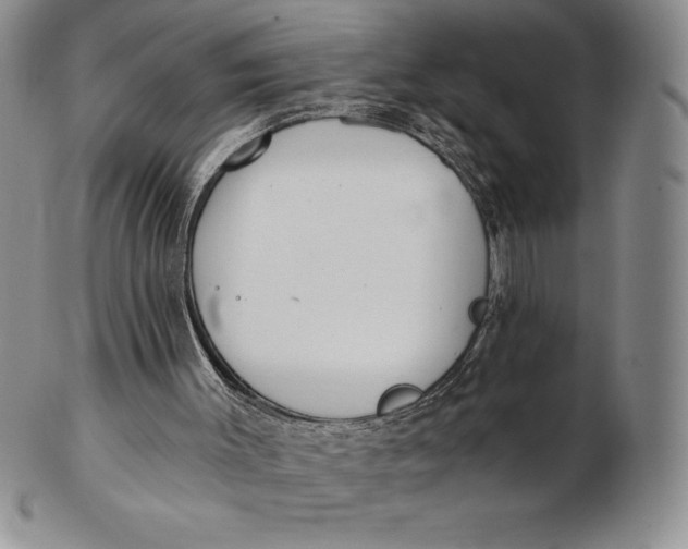 X0000102360003200808221726