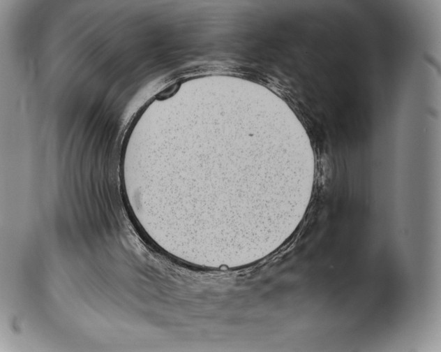 X0000102360004200808221726