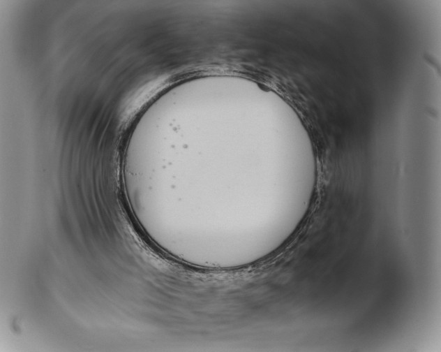 X0000102360005200808221726