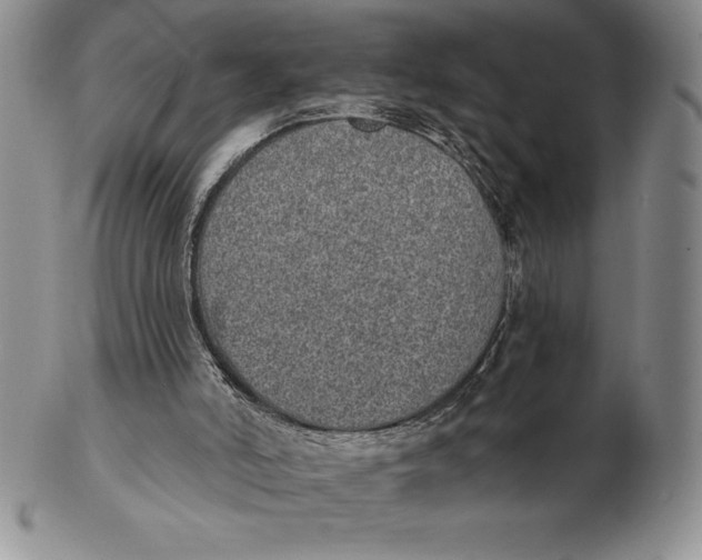 X0000102360006200808221726