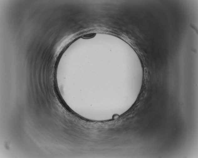 X0000102360007200808221726