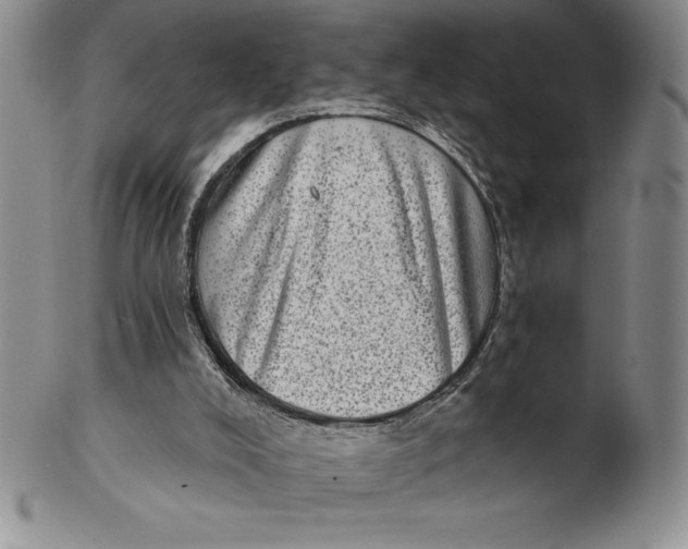 X0000102360008200808221726