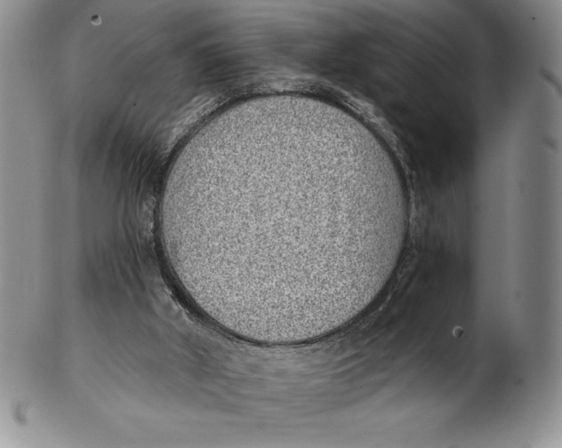 X0000102360010200808221726