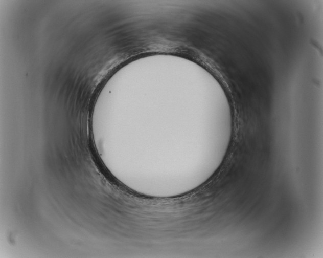 X0000102360011200808221726