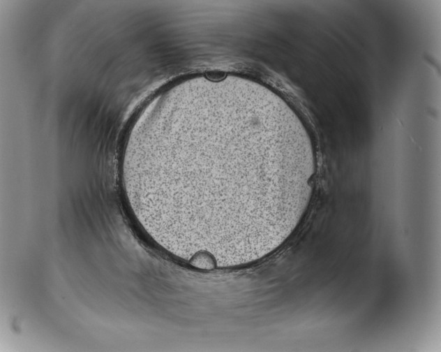 X0000102360012200808221726