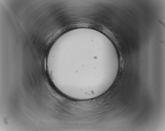 X0000102360013200808221726