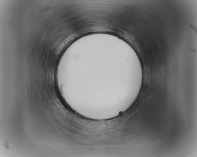 X0000102360015200808221726