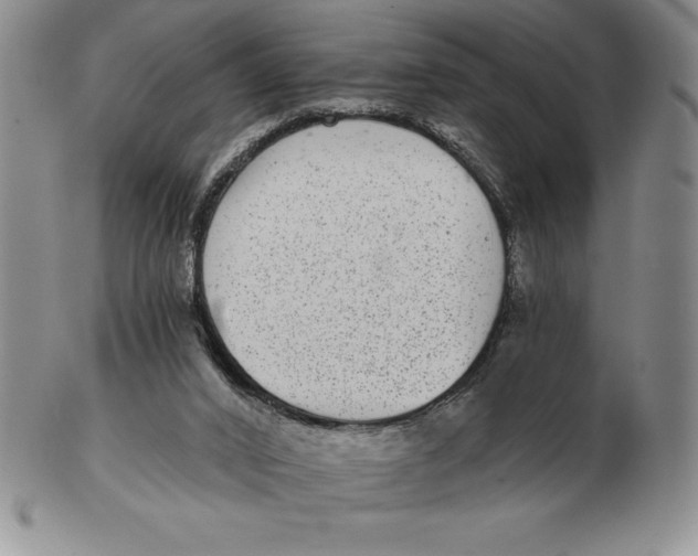 X0000102360016200808221726