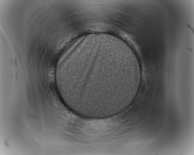 X0000102360017200808221726