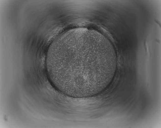 X0000102360018200808221726