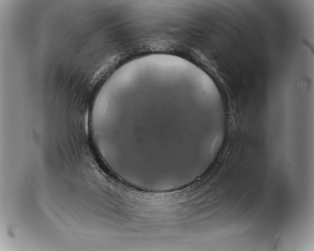 X0000102360019200808221726