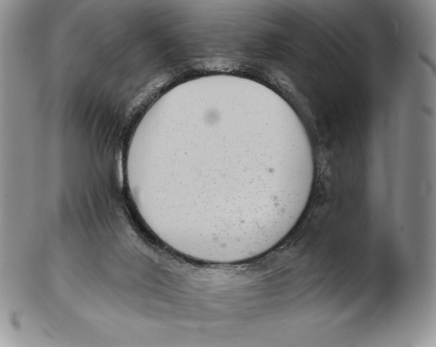 X0000102360020200808221726