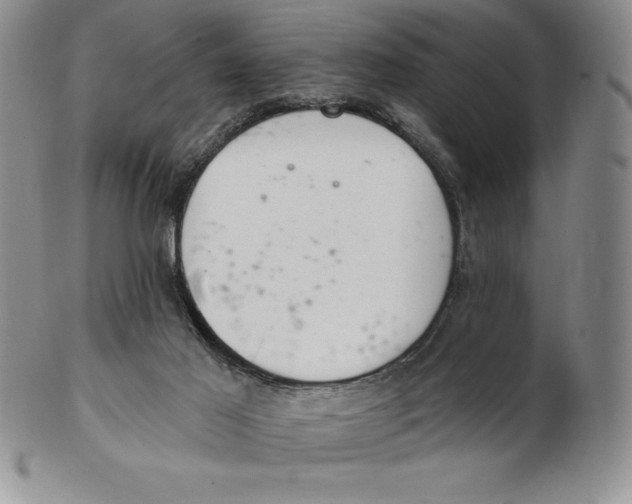 X0000102360021200808221726