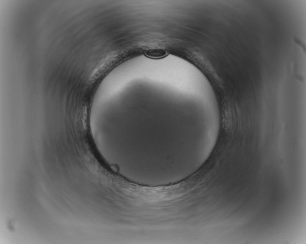 X0000102360023200808221726