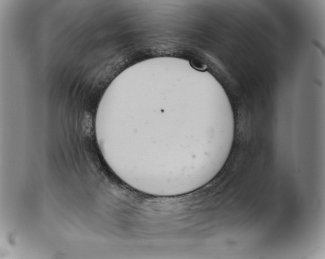 X0000102360025200808221726