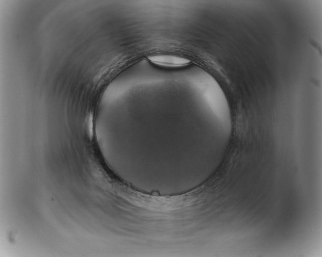 X0000102360027200808221726