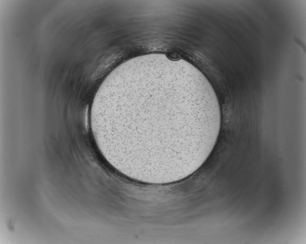 X0000102360028200808221726