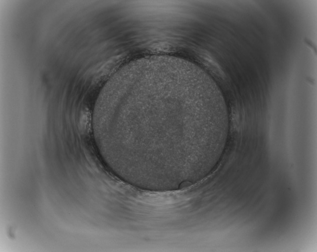 X0000102360029200808221726