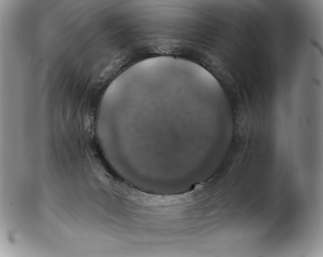 X0000102360031200808221726