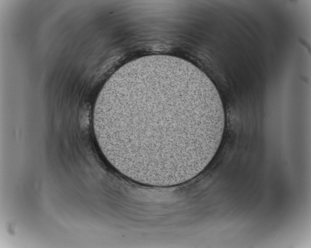 X0000102360032200808221726