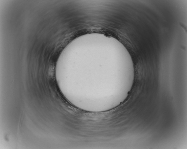 X0000102360033200808221726