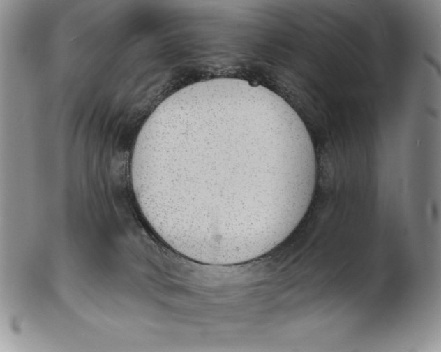 X0000102360034200808221726