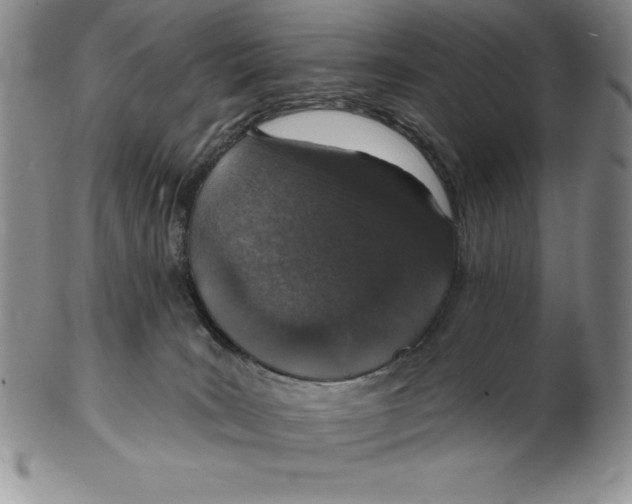 X0000102360035200808221726