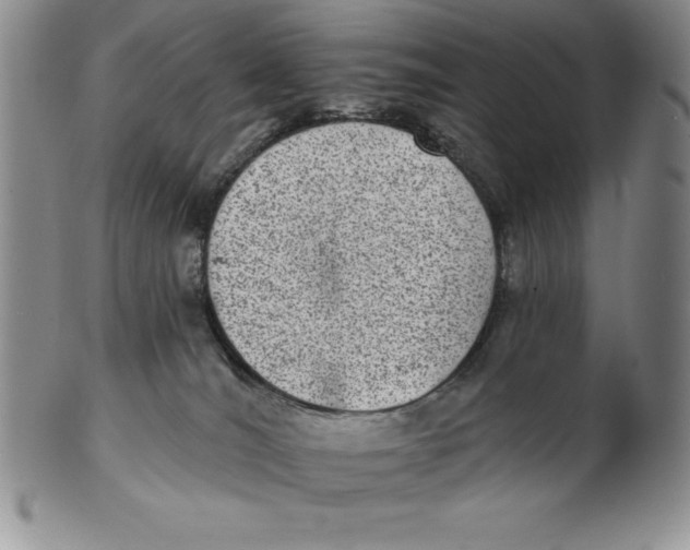 X0000102360036200808221726