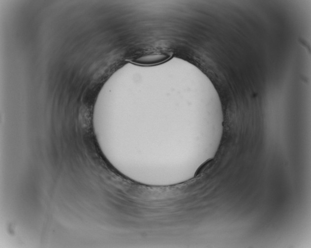 X0000102360037200808221726