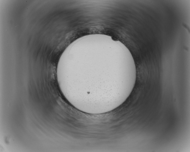 X0000102360038200808221726