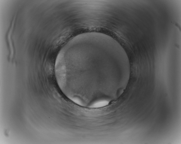 X0000102360039200808221726