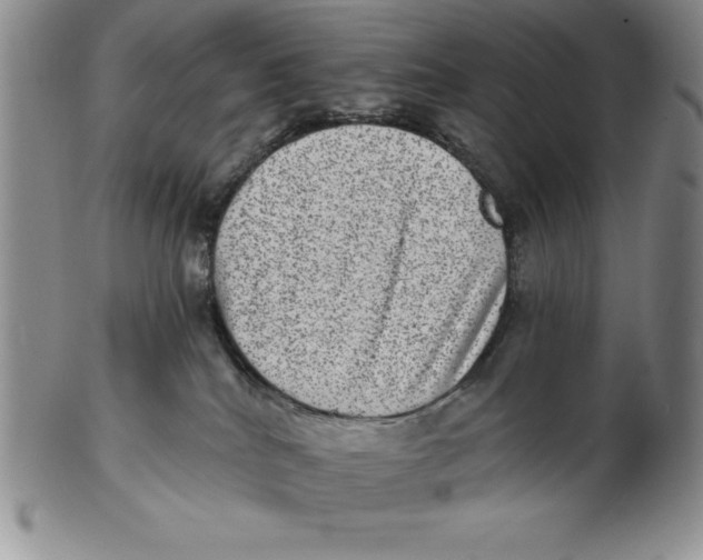 X0000102360040200808221726