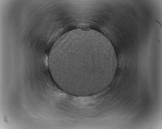 X0000102360041200808221726