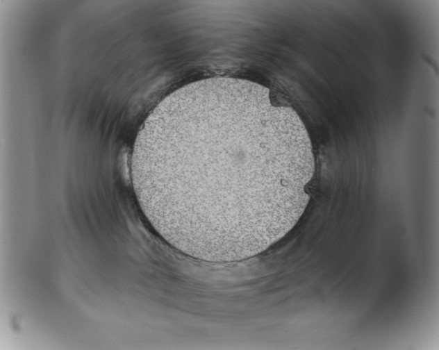 X0000102360042200808221726