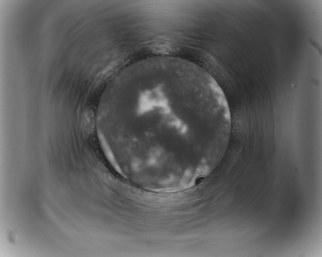 X0000102360043200808221726